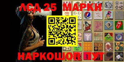 прущие грибы Дмитров